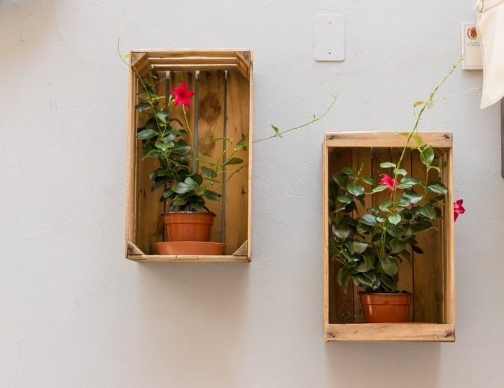 pallet wall garden pallet wall garden