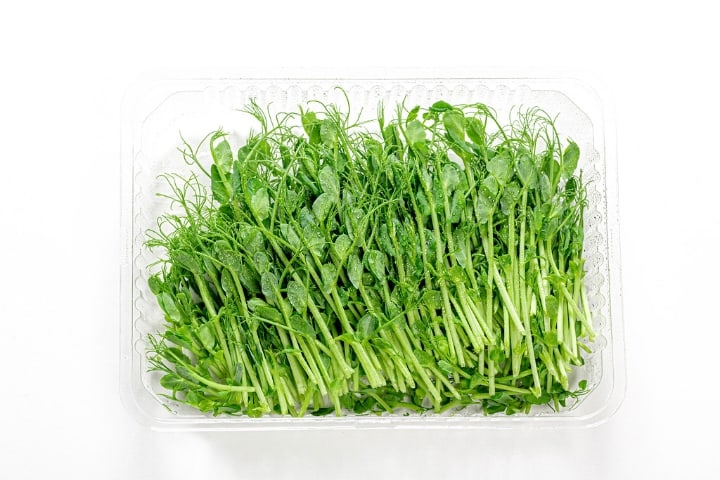 pea microgreens pea microgreens