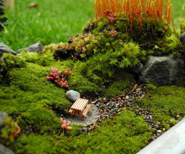 peat moss for gardening peat moss for gardening