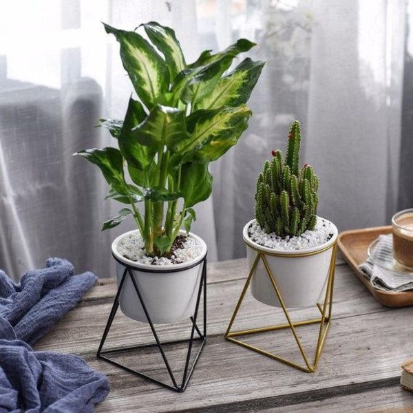 Pedestal Plant Stand Pedestal Plant Stand