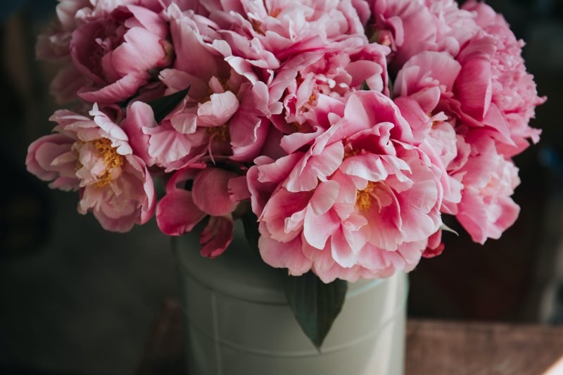 peonies bouquet peonies bouquet