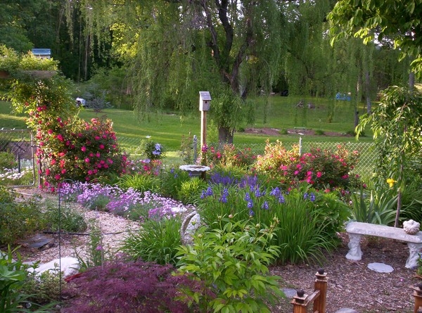 Perennial Garden Perennial Garden