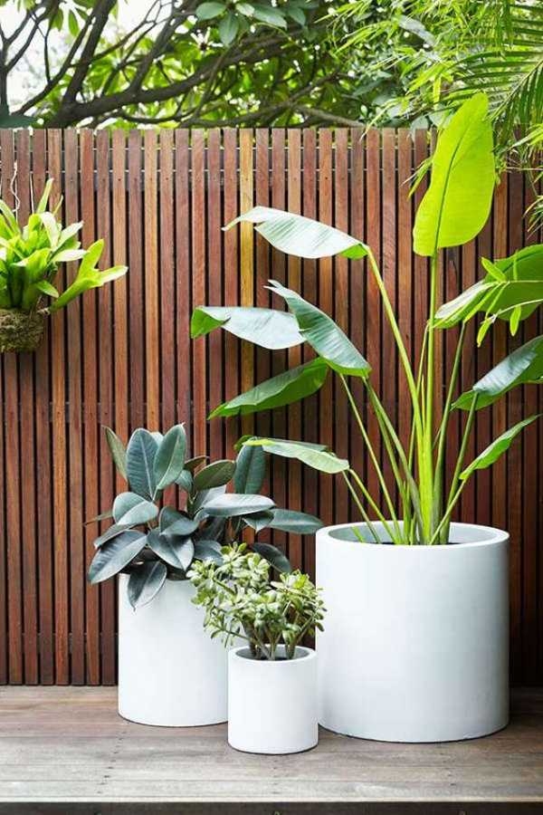 Plant Pots At Home Depot Plant Pots At Home Depot