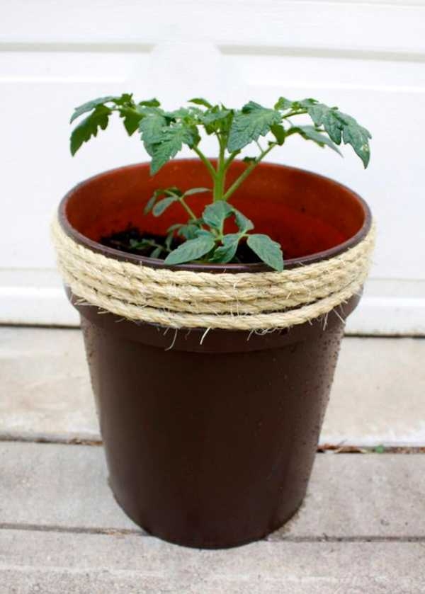 Plant Pots Black Plant Pots Black