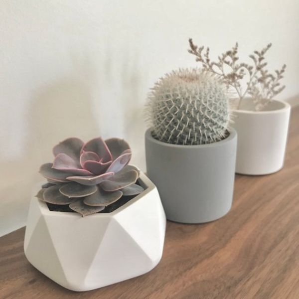Plant Pots Drainage Plant Pots Drainage