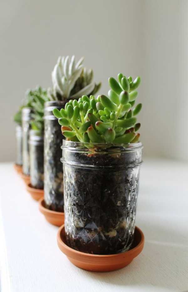 Plant Pots Holders Plant Pots Holders