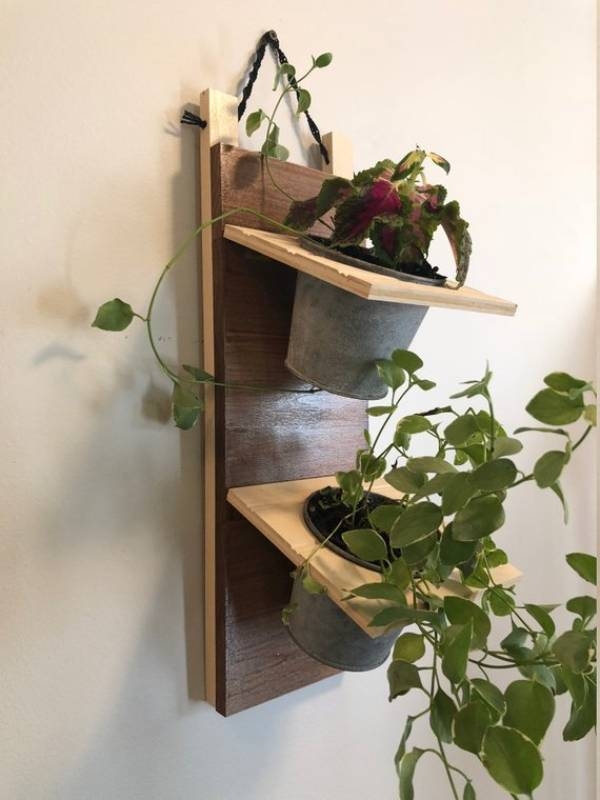 Plant Pots In Bulk Plant Pots In Bulk