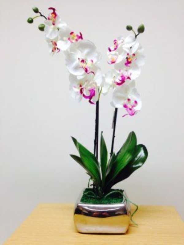 Plant Pots Indoor Decorative Plant Pots Indoor Decorative