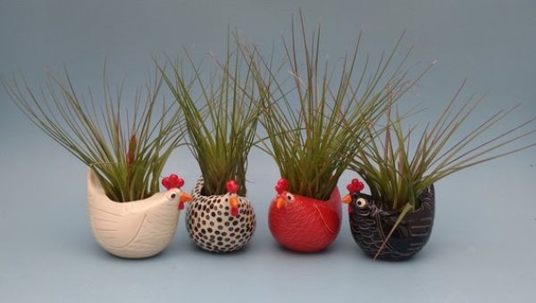 Plant Pots On Amazon Plant Pots On Amazon