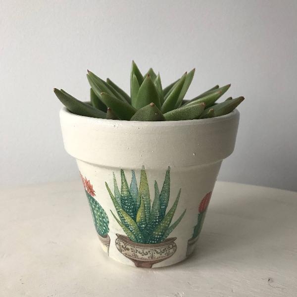 Plant Pots Outdoors Plant Pots Outdoors