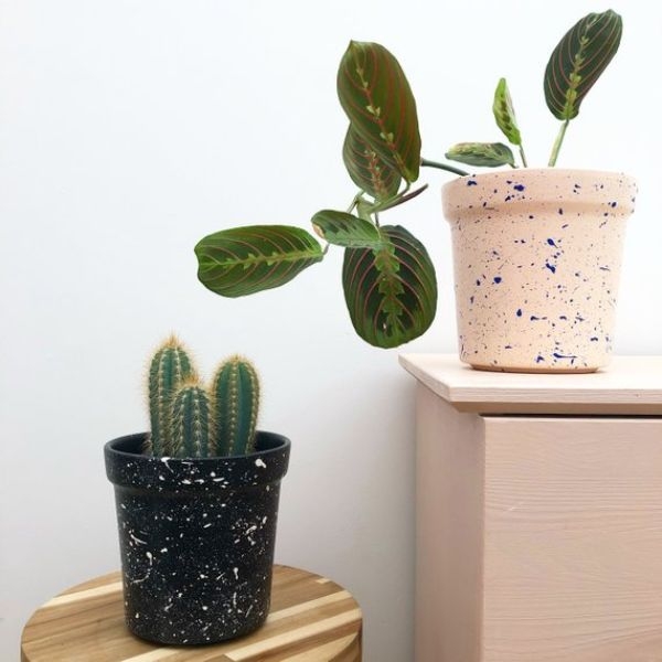 Plant Pots Painting Plant Pots Painting