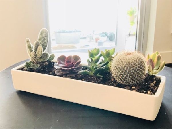 Plant Pots Rectangular Plant Pots Rectangular