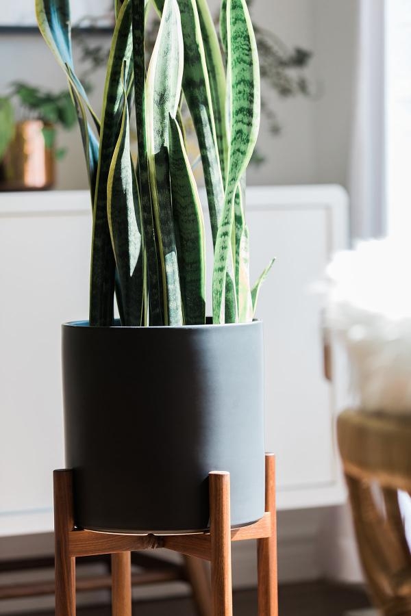 Plant Pots With Stand Plant Pots With Stand