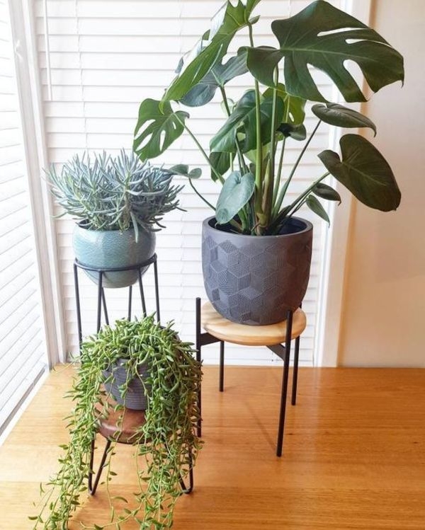 Plant Stand Black Plant Stand Black