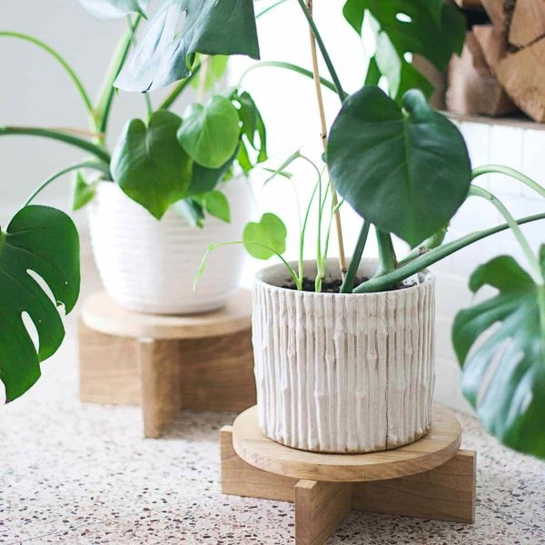 plant stand for indoors plant stand for indoors