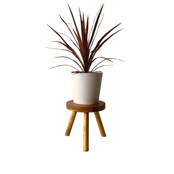 plant stand low plant stand low