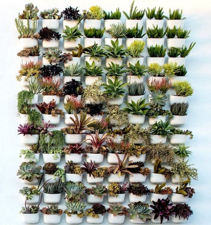 plant wall amazon plant wall amazon