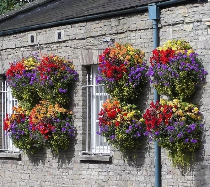 plant wall balcony plant wall balcony