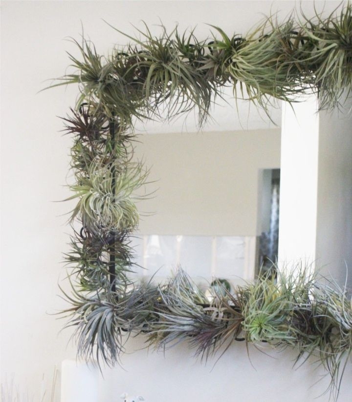 plant wall bedroom plant wall bedroom