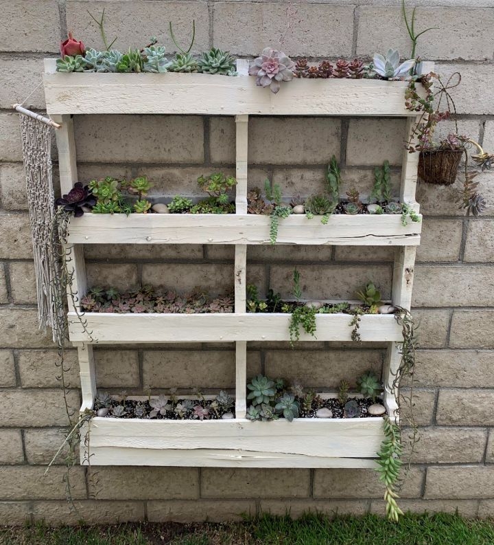 plant wall box plant wall box