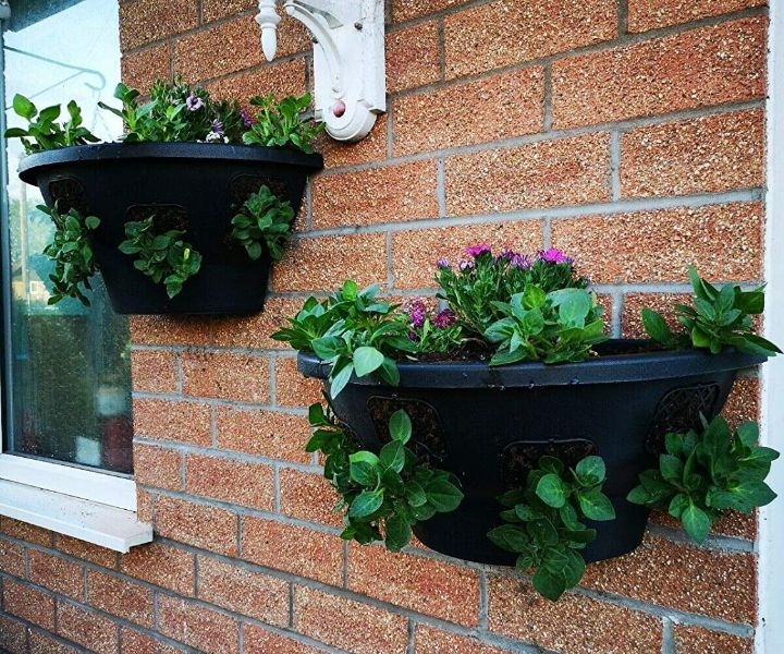 plant wall containers plant wall containers