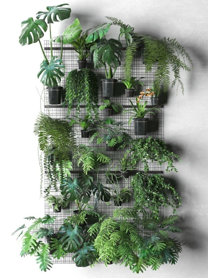 plant wall containers plant wall containers
