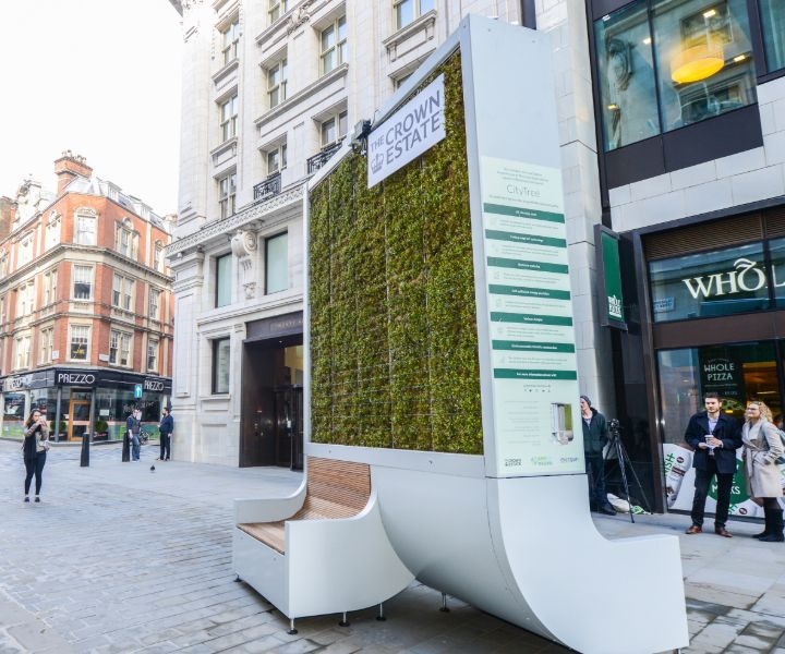 plant wall covering plant wall covering