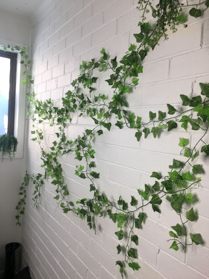 plant wall covering plant wall covering