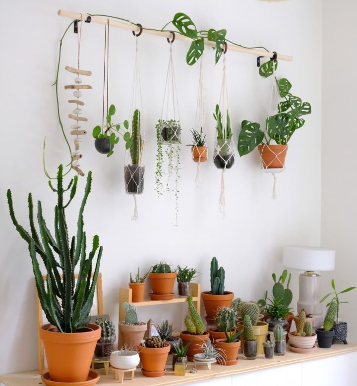plant wall decals plant wall decals