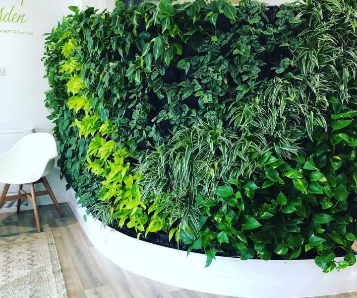 plant wall decor plant wall decor