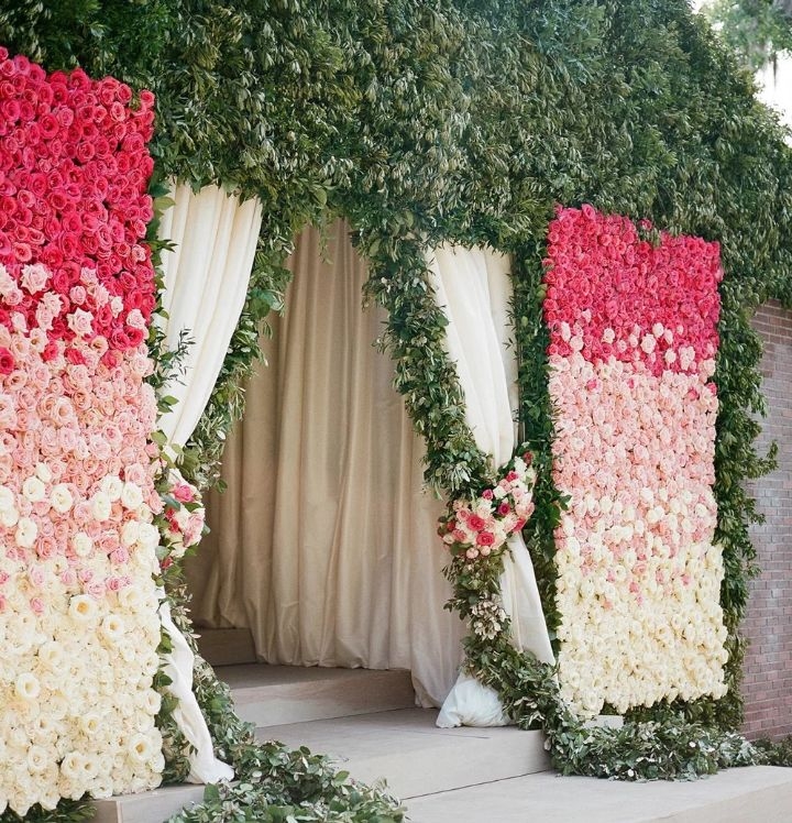 plant wall design plant wall design