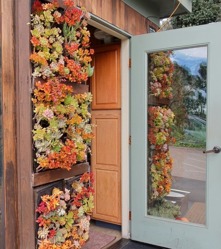 plant wall design ideas plant wall design ideas