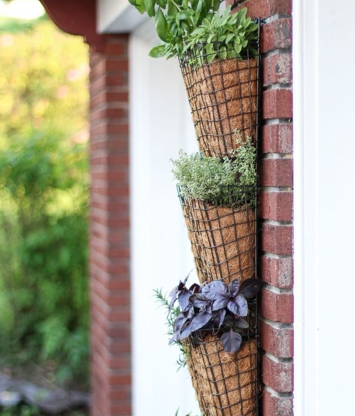 plant wall exterior plant wall exterior