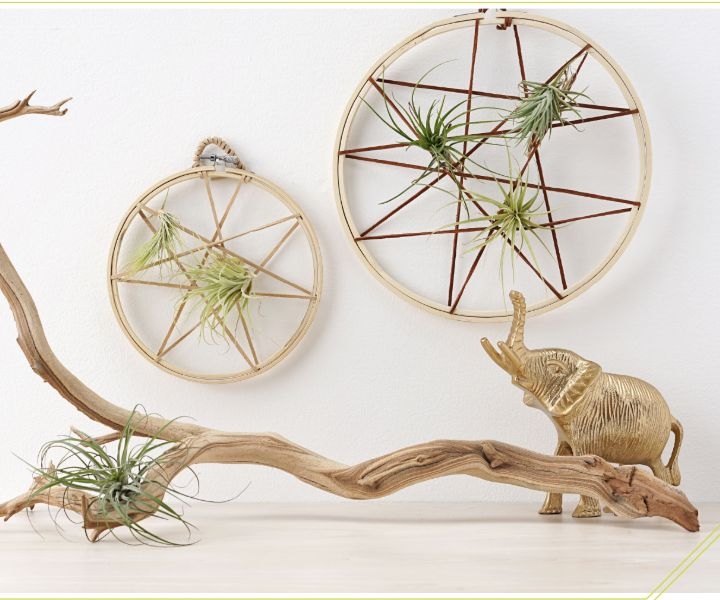 plant wall for office plant wall for office