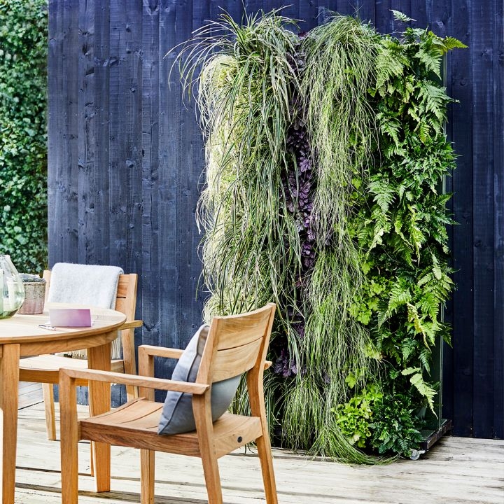 plant wall frame plant wall frame
