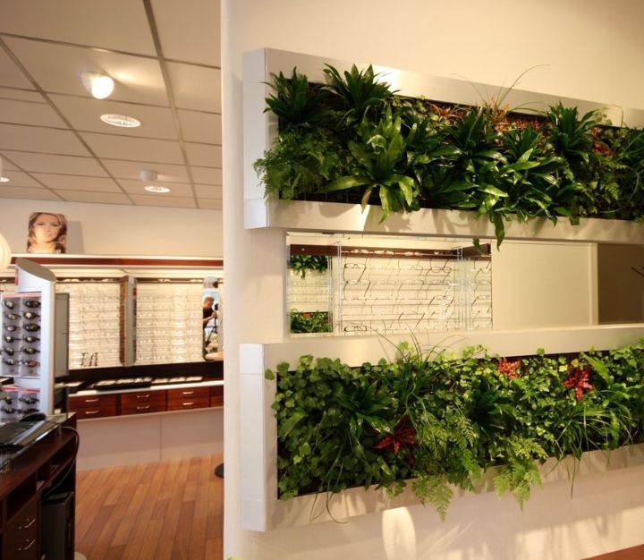 plant wall grass plant wall grass