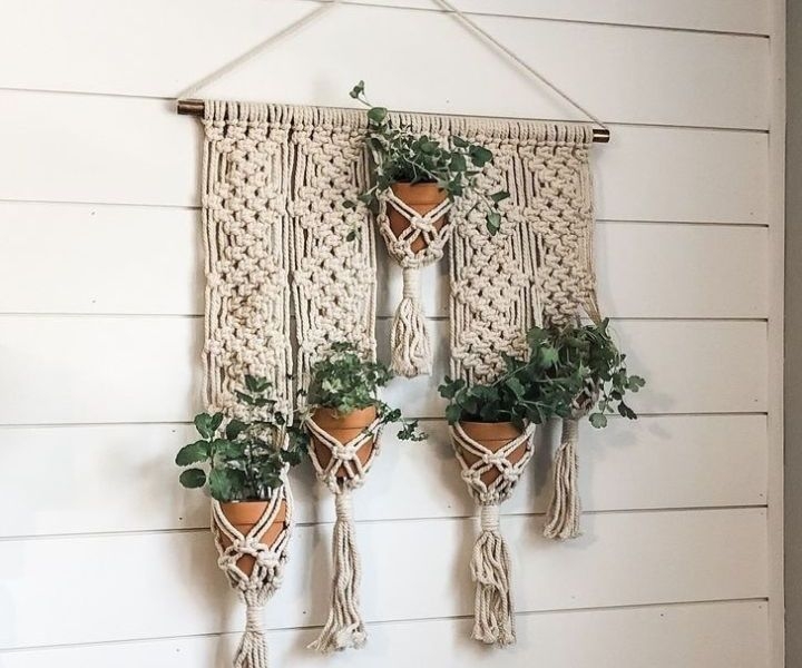 plant wall hangers plant wall hangers