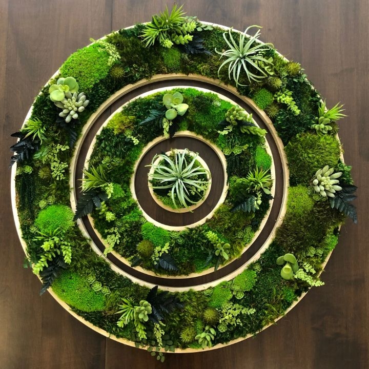 plant wall ideas plant wall ideas