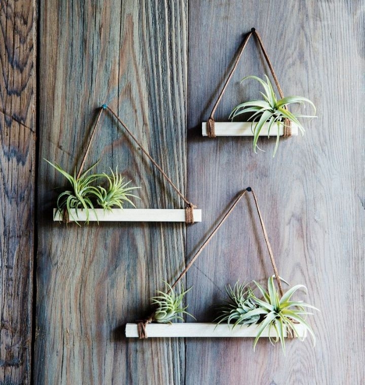 plant wall in house plant wall in house