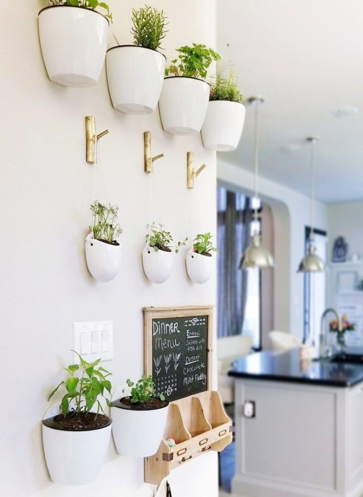 plant wall kitchen plant wall kitchen