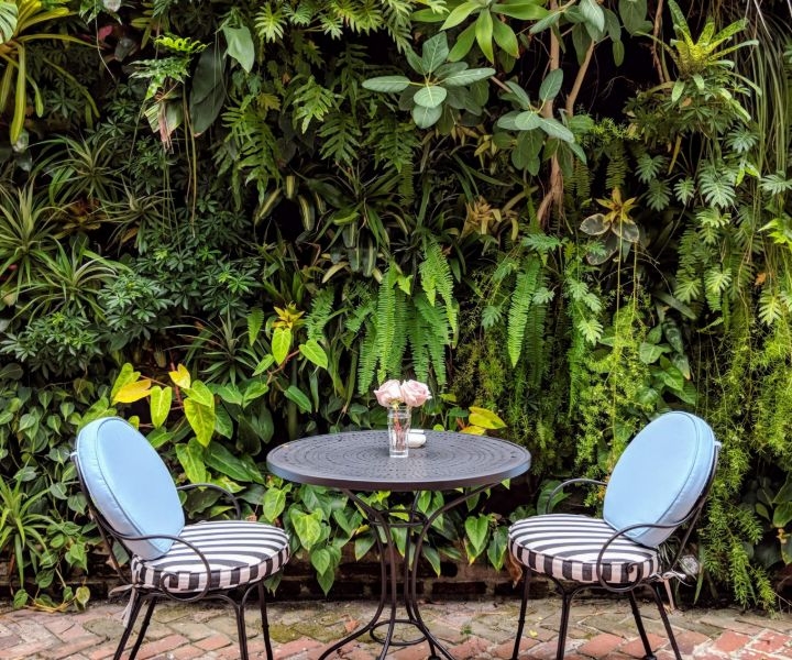 plant wall outdoor plant wall outdoor
