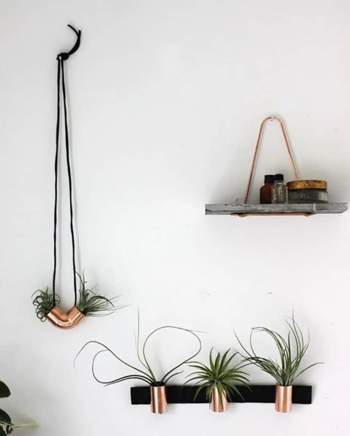 plant wall planters plant wall planters