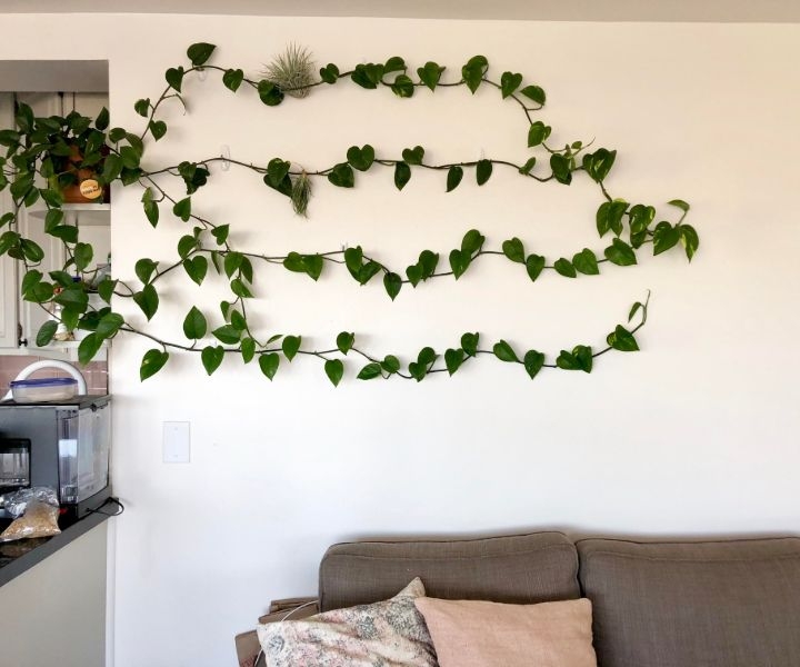 plant wall system plant wall system