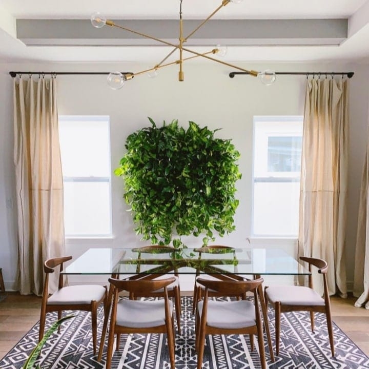planted wall dining area backdrop planted wall dining area backdrop
