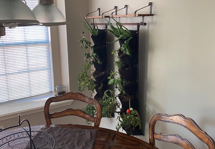 planted wall helps purify air planted wall helps purify air