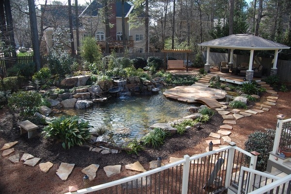 Plants Water Features Plants Water Features