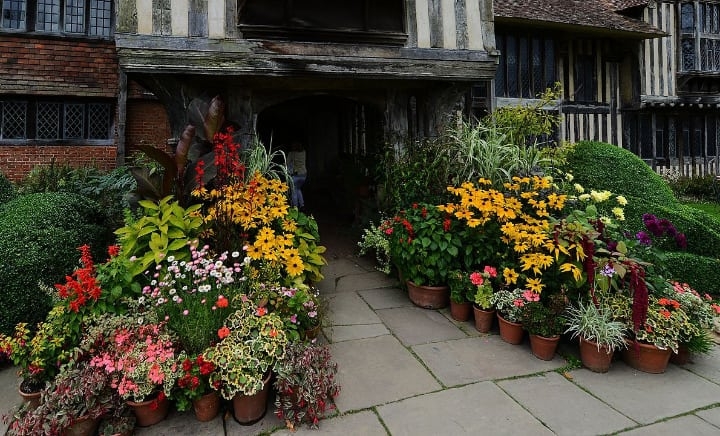potted garden potted garden