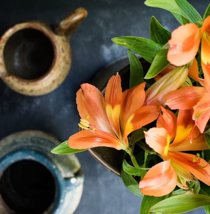 potted lily flower potted lily flower
