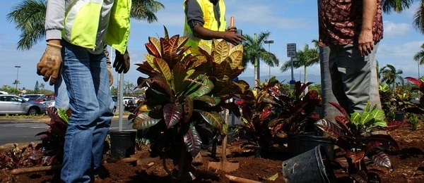 pros of hiring a landscaping architect pros of hiring a landscaping architect