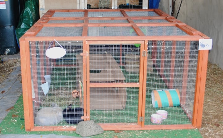 rabbit run rabbit run